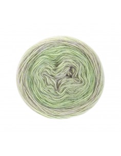 Lana grossa degrade, zachte draad| Lemsterwolhus heeft ze op voorraad