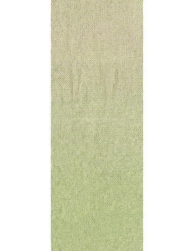 Lana grossa degrade, zachte draad| Lemsterwolhus heeft ze op voorraad