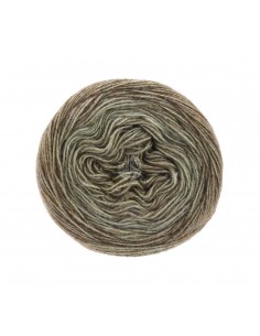 Lana grossa degrade, zachte draad| Lemsterwolhus heeft ze op voorraad