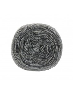 Lana grossa degrade, zachte draad| Lemsterwolhus heeft ze op voorraad