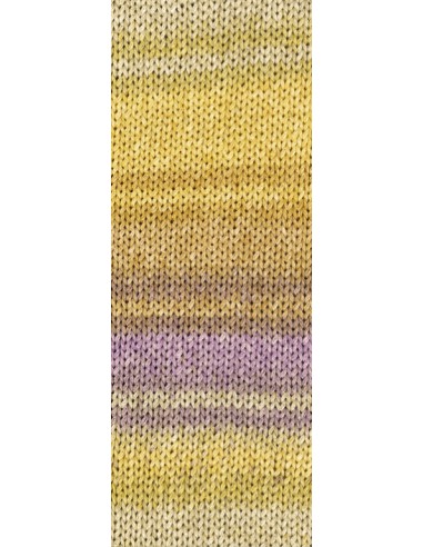 Gomitolo Selezione 2 2006 | Het Lemsterwolhus heeft ze op voorraad!