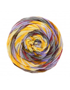 Gomitolo Selezione 3 3002 | Het Lemsterwolhus heeft ze op voorraad!