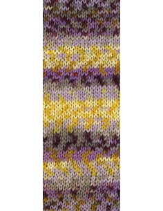 Gomitolo Selezione 3 3002 | Het Lemsterwolhus heeft ze op voorraad! 2