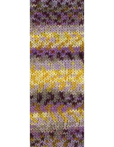 Gomitolo Selezione 3 3002 | Het Lemsterwolhus heeft ze op voorraad!