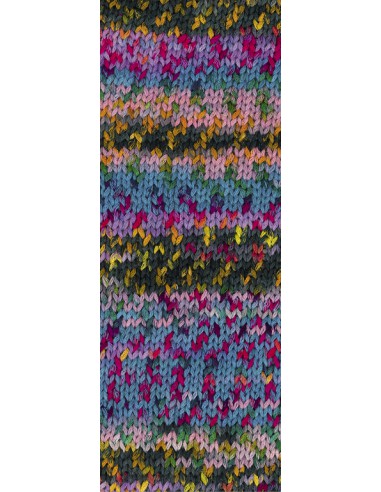 Gomitolo Selezione 3 3003 | Het Lemsterwolhus heeft ze op voorraad!