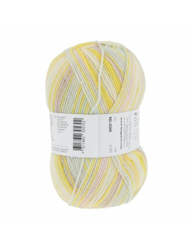 Super soxx|Op voorraad|Gratis verzending vanaf €50.00| Lemster Wolhús!