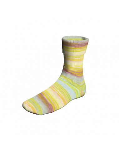 Super soxx|Op voorraad|Gratis verzending vanaf €50.00| Lemster Wolhús!