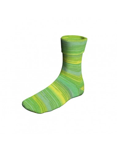 Super soxx|Op voorraad|Gratis verzending vanaf €50.00| Lemster Wolhús!