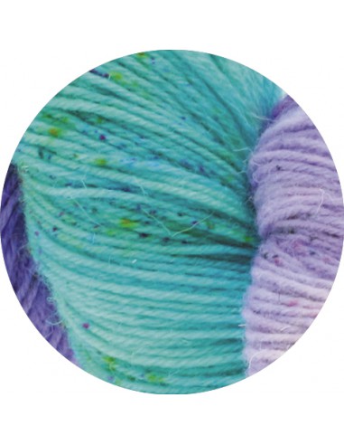 Meilenweit merino hand-dyet 309 kailash| Het Lemsterwolhus heeft ze op voorraad!