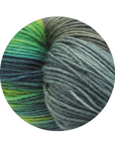 Meilenweit merino hand-dyet 311 sudhir| Het Lemsterwolhus heeft ze op voorraad! 2