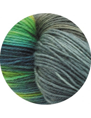 Meilenweit merino hand-dyet 311 sudhir| Het Lemsterwolhus heeft ze op voorraad!