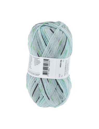 Lang Yarns Super Soxx Greekmyths 364|Het Lemster Wolhus heeft ze op voorraad!