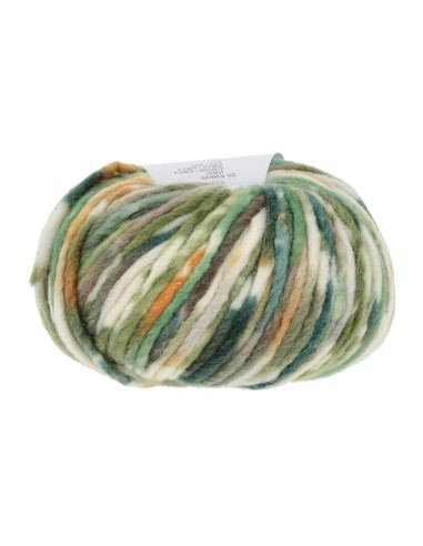 Lang Yarns bold color 0001 Forest| het Lemster Wolhus heeft ze op voorraad!