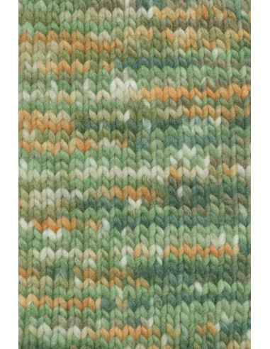 Lang Yarns bold color 0001 Forest| het Lemster Wolhus heeft ze op voorraad!