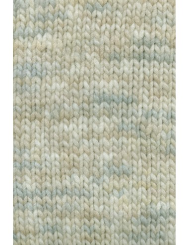 Lang Yarns bold color 0003 naturel| het Lemster Wolhus heeft ze op voorraad!