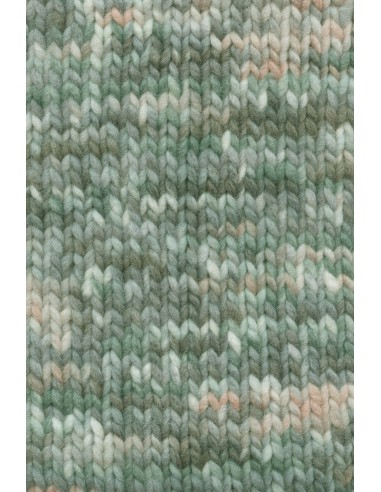 Lang Yarns bold color 0005 grey| het Lemster Wolhus heeft ze op voorraad!