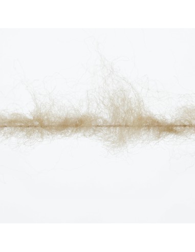 Lang Yarn Phoenix 39 beige| het Lemster Wolhus heeft ze op voorraad!