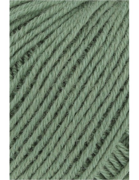 Lang Yarns Atlantis 091 mosgroen| Het Lemster Wolhús heeft ze op voorraad!