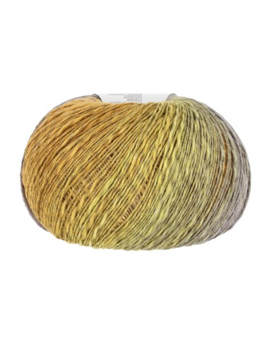 Lang Yarns Linello 50 goud geel, oranje blauw| het Lemster Wolhús heeft ze op voorraad!