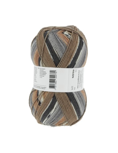 Super soxx 6 ply hotdrinks 376 hot chocolate| het Lemster Wolhus heeft ze op voorraad!