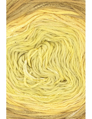 Lang Yarns Bloom 13 , een combinatie van katoen, viscose en linnen|Het Lemster Wolhus heeft ze op voorraad!